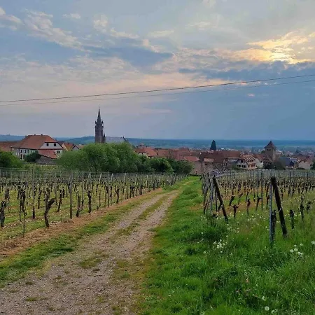 3 Etoiles Avec Sauna Individuel Chez Chanchan De 1 A 6 Personnes Casa de Férias