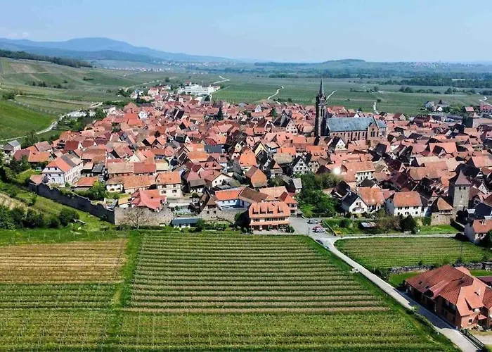 Holiday home 3 Etoiles Avec Sauna Individuel Chez Chanchan De 1 A 6 Personnes Dambach-la-Ville